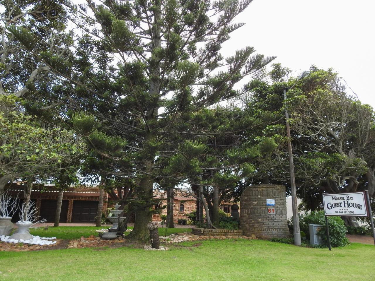 Mossel Bay Guest House Exterior photo